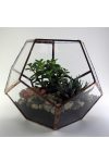 Üveg Dodekaéder, Florárium, terrárium, virágtartó Üveg Dodekaéder, Florárium, terrárium, virágtartó