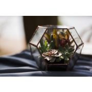  Üveg Dodekaéder, Florárium, terrárium, virágtartó
