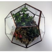 Dodekaeder Glas, Florarium, Terrarium, Blumentreppe