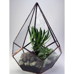 Konisches Geometrisches Florarium Glas, Terrarium, Blumentreppe