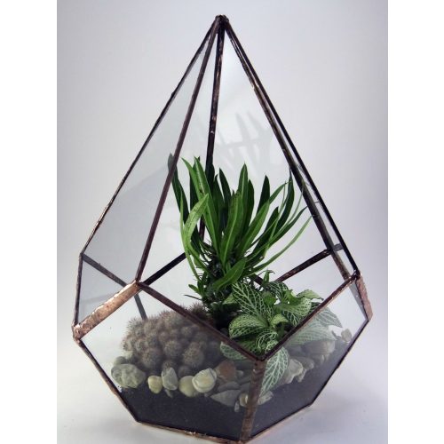 Konisches Geometrisches Florarium Glas, Terrarium, Blumentreppe